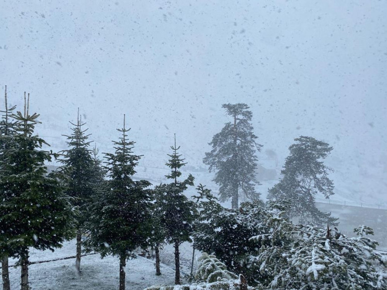 Meteorolojiden yeni hava durumu raporu... Kuvvetli yağış ve fırtına etkili oluyor: Ağaçlar devrildi, çatı uçtu