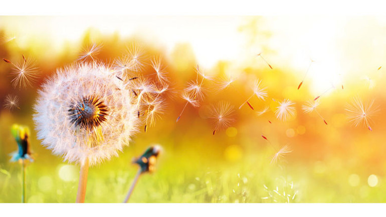 Bahar iyi hoş da şu alerjisi olmasa