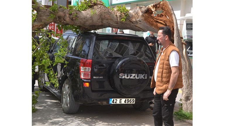 Meteorolojiden yeni hava durumu raporu... Kuvvetli yağış ve fırtına etkili oluyor: Ağaçlar devrildi, çatı uçtu