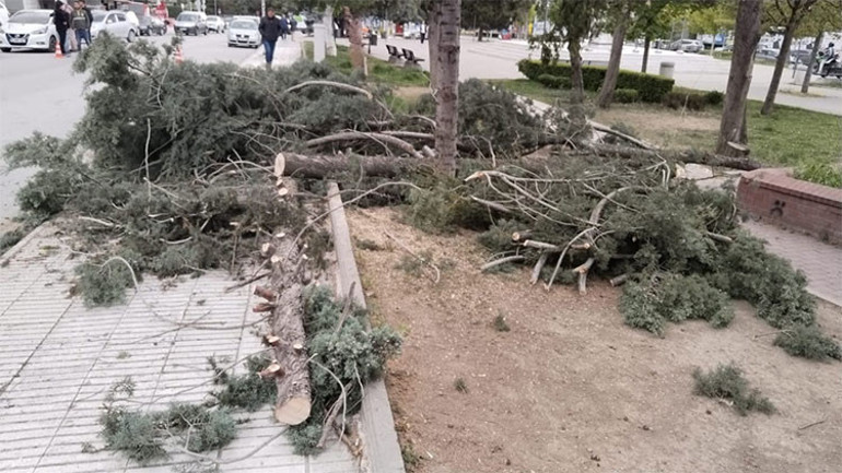 Meteorolojiden yeni hava durumu raporu... Kuvvetli yağış ve fırtına etkili oluyor: Ağaçlar devrildi, çatı uçtu