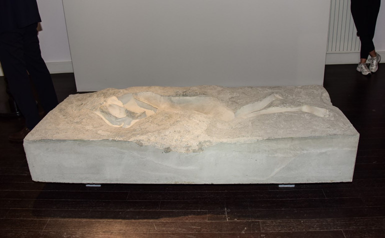 Sanatçı Aida Mahmudova’nın kişisel sergisi ‘Bir Rüya Açılır’ sanatseverlerle buluştu