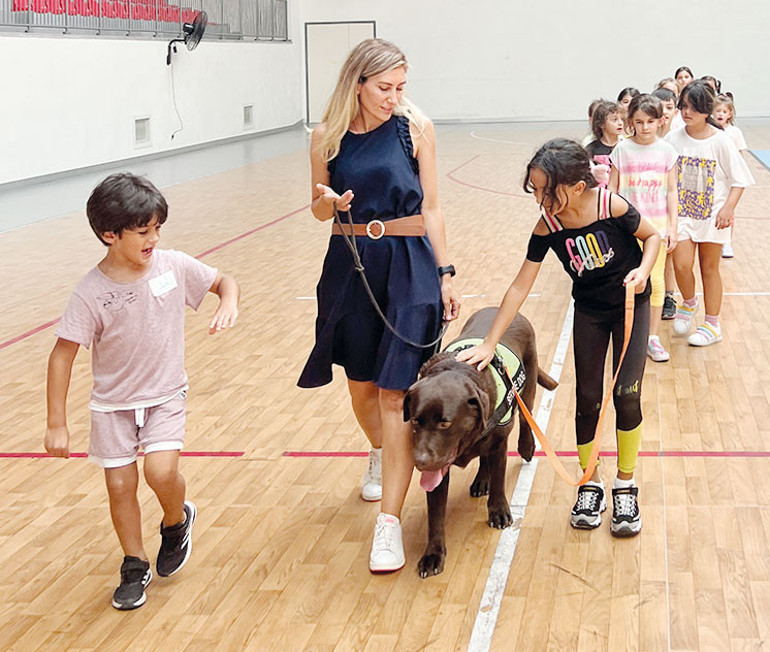 Sokak köpeği saldırısından nasıl korunuruz... Gözlerine bakmayın, sabit kalın, kaçmayın