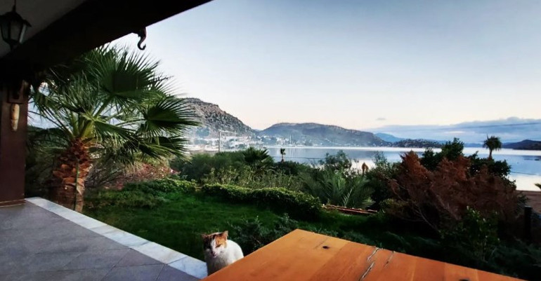 Doğa ile iç içeyim, yaklaşık 5 yıldır çiftçilik yapıyorum