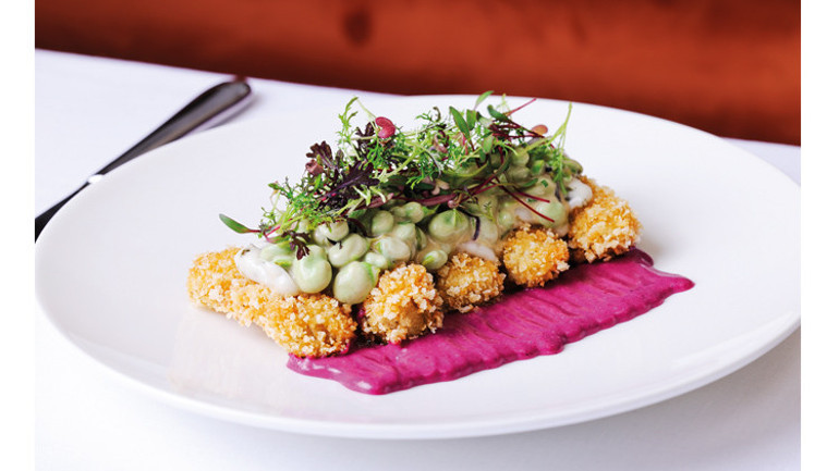 Bu yüksek mutfağın tümü bitki bazlı