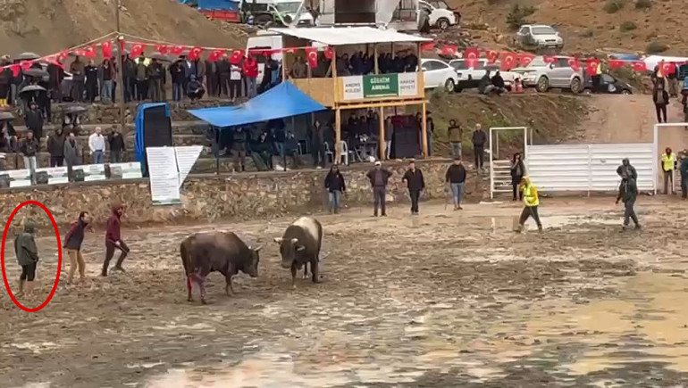 Rakibinden kaçan boğa hakemin üzerinden geçti: O anlar görüntülendi