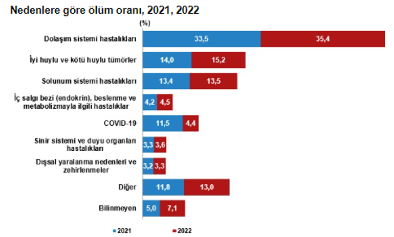 Pıhtı atmaya bağlı ölümler neden bu kadar sık yaşanmaya başladı