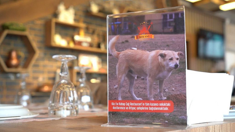 Restoranın tüm geliri can dostlara