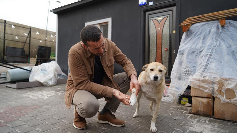 Restoranın tüm geliri can dostlara