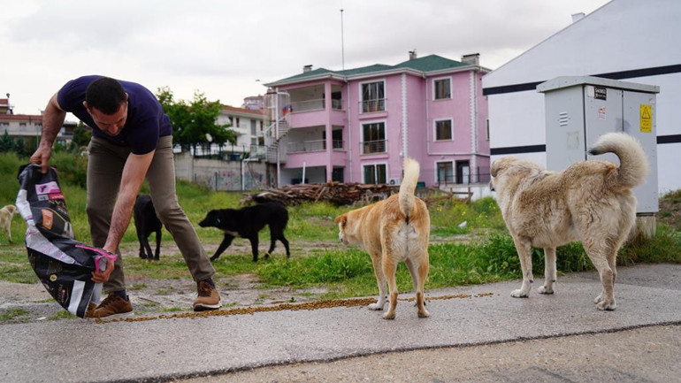Restoranın tüm geliri can dostlara