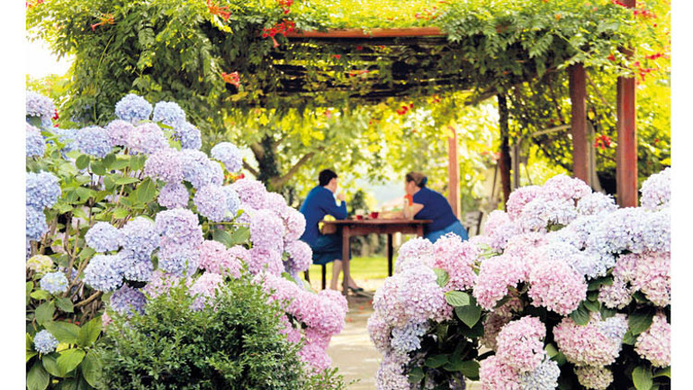 Doğanın kucağında piknik zamanı