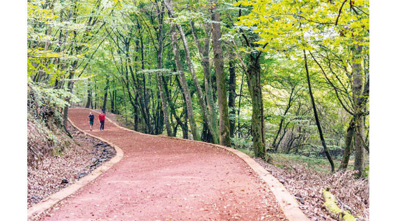 Doğanın kucağında piknik zamanı