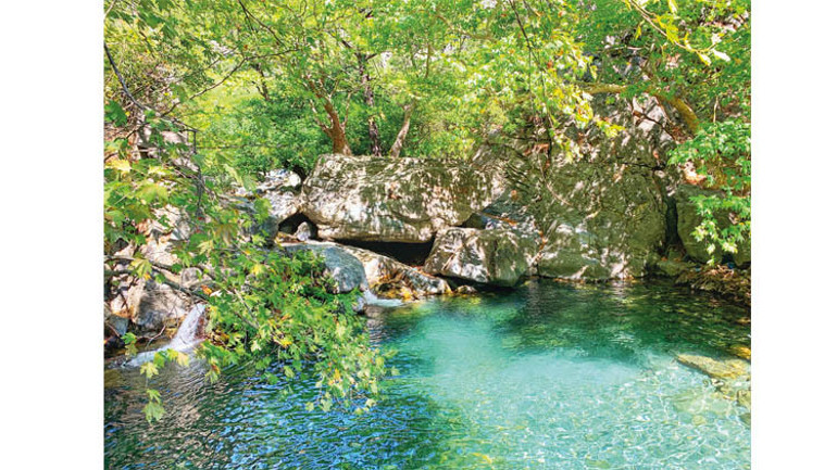 Doğanın kucağında piknik zamanı