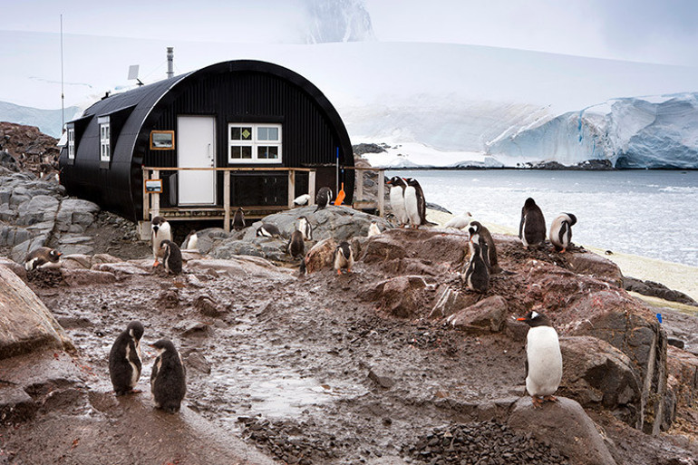 En yaşanmayacak yer Antarktikada hayat nasıl geçiyor Beyaz Kıtadaki işlere kimler başvurabiliyor, hangi özellikler aranıyor Bugüne kadar temizlediğin en iğrenç şey nedir