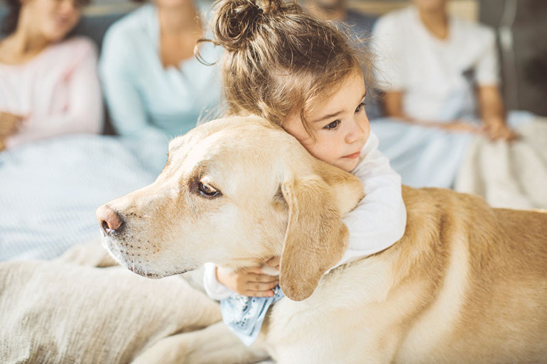 Sokak köpeği tartışmasına uzman bakışı... ‘Sürüleşme’ önlenmeli