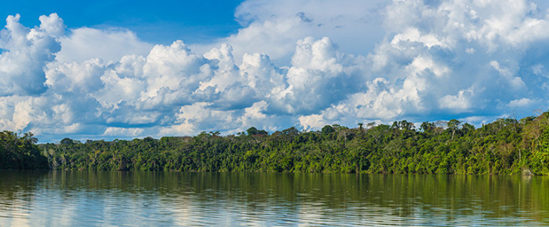 Hayatlarında ilk kez internetleri olmuştu… Medeniyetten uzak yaşayan kabile ‘online’ olmaktan memnun değil… ‘Halkımız tembel oldu’
