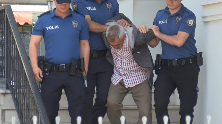 Bakırköy’de iğrenç olay Veteriner hekimlikte mide bulandıran olay ortaya çıktı... Sokak köpeği koruma altına alındı