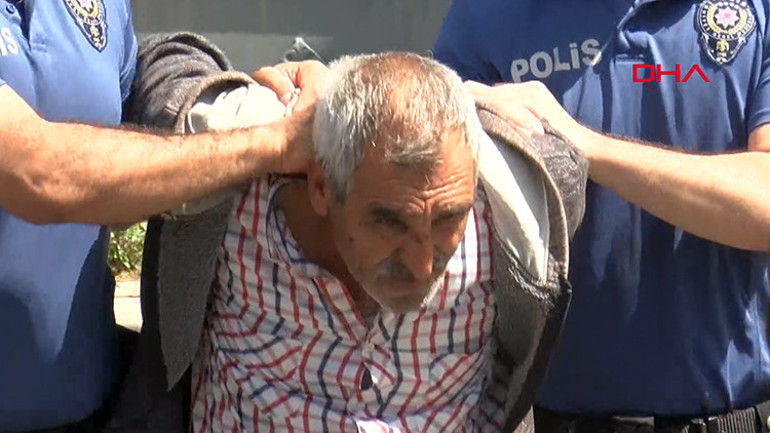 Bakırköy’de iğrenç olay Veteriner hekimlikte mide bulandıran olay ortaya çıktı... Sokak köpeği koruma altına alındı