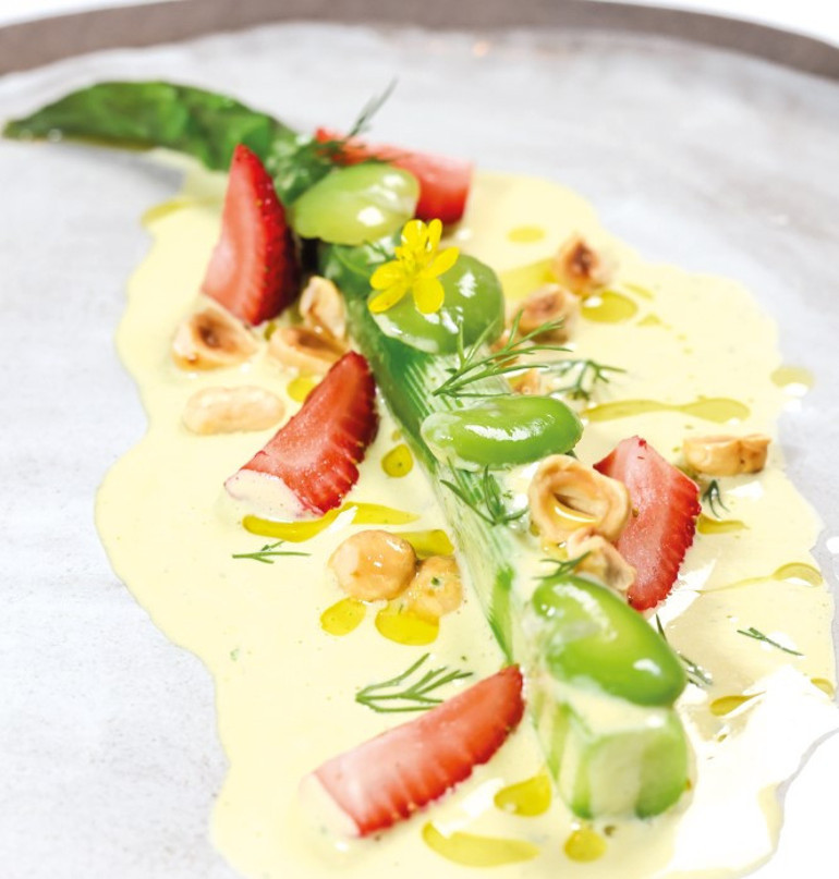 Danilo Şef’le memleketine yolculuk