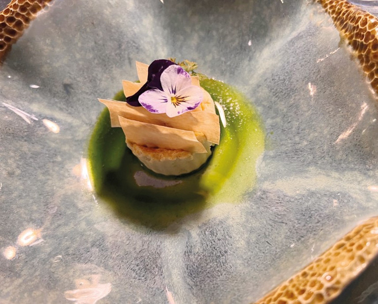 Danilo Şef’le memleketine yolculuk