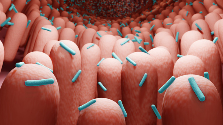 Bağırsakları sürekli alkol üretiyor İçki içmediğine doktorları inandıramıyor... Beyaz ekmek, un, beyaz pirinç ve hamur işlerine dikkat