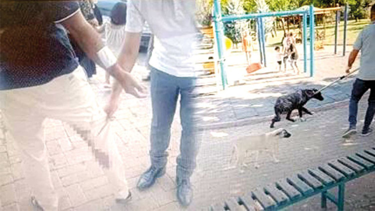 ‘Kuduz’ şüphesiyle 2 mahalle karantinada... Şanlıurfa’da hayvan severler ve büyükşehir karşı karşıya
