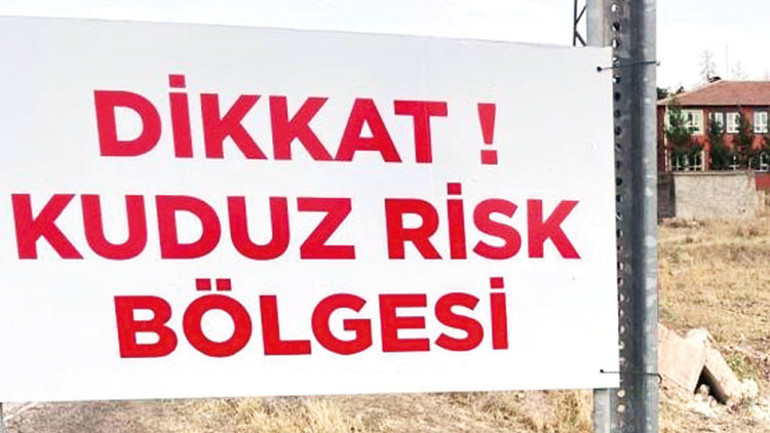 ‘Kuduz’ şüphesiyle 2 mahalle karantinada... Şanlıurfa’da hayvan severler ve büyükşehir karşı karşıya