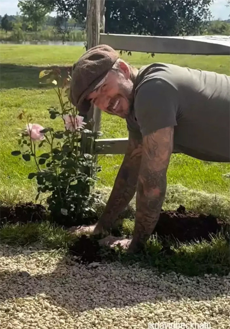 25 yıllık kocasına övgüler yağdırdı... Artık bahçede pembe gülleri var