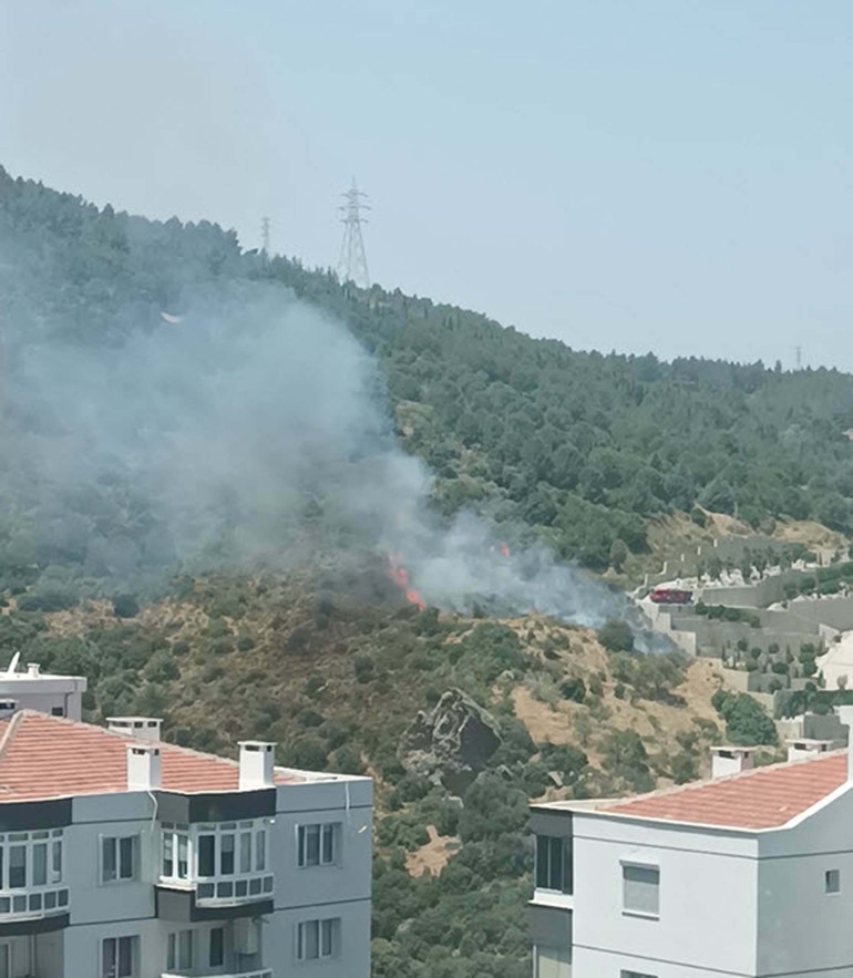 Çanakkale, Muğla ve Sinopta orman yangını Çanakkale Valiliğindan uyarı: Vatandaşlarımızın teyakkuzda olmaları önemle rica olunur