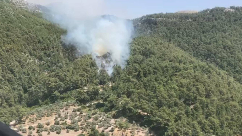 Çanakkale, Muğla ve Sinopta orman yangını Çanakkale Valiliğindan uyarı: Vatandaşlarımızın teyakkuzda olmaları önemle rica olunur