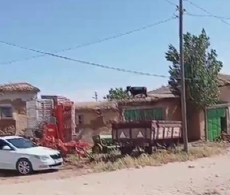 Bir Kurban Bayramı klasiği Acemi kasaplar hastaneye akın etti