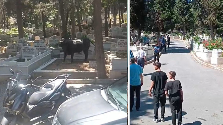 Bir Kurban Bayramı klasiği Acemi kasaplar hastaneye akın etti
