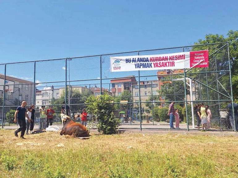 Yurttan kurban klasikleri