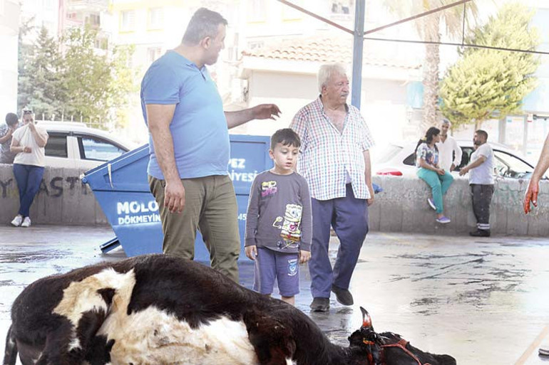 Yurttan kurban klasikleri