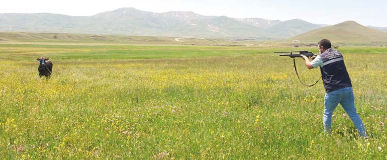 Yurttan kurban klasikleri