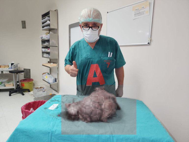 Karın ağrısı şikayetiyle gitti, doktorun verdiği cevapla şaşkına döndü Çok nadir göreceğimiz bir vaka