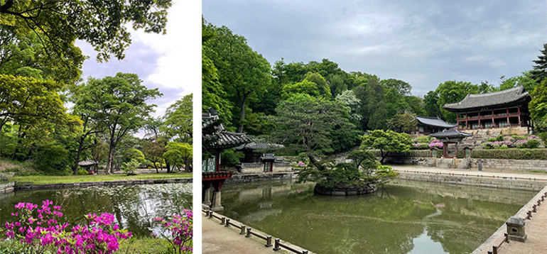 Güney Kore ‘dalgasına’ kapılın