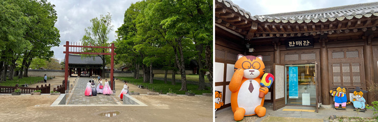 Güney Kore ‘dalgasına’ kapılın