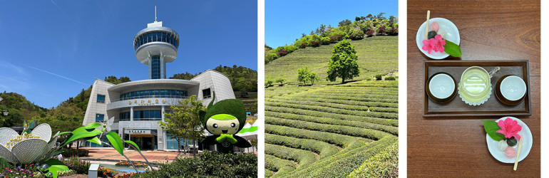 Güney Kore ‘dalgasına’ kapılın