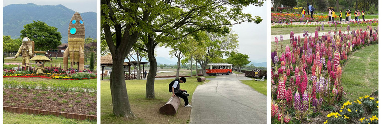 Güney Kore ‘dalgasına’ kapılın