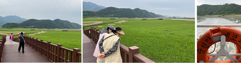 Güney Kore ‘dalgasına’ kapılın