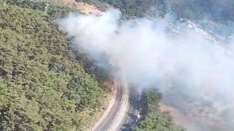 İzmir Kemalpaşada orman yangını: Kontrol altına alındı