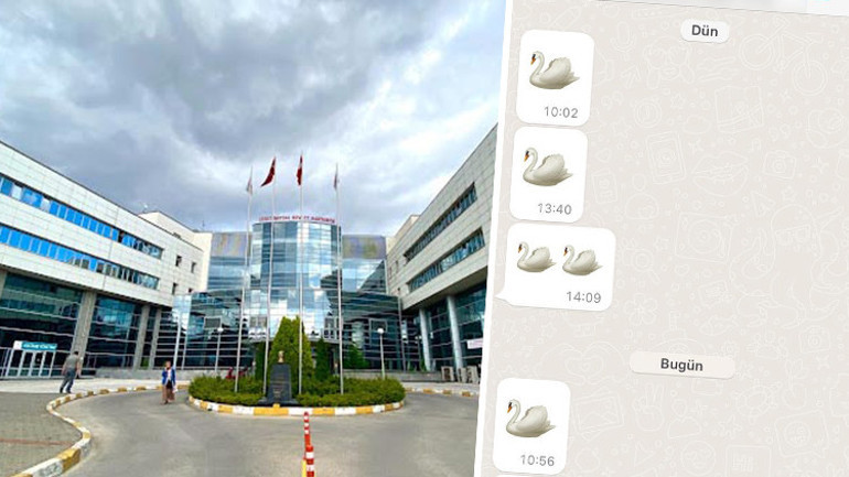 Kuğu emojisi ile haberleşiyorlardı: Reçete oyununda doktorlar hakkındaki soruşturma genişletildi