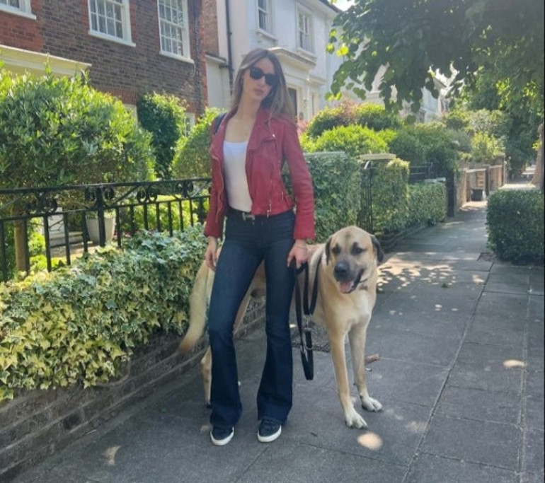 Londra sokaklarında dikkatler Pashanın üzerinde... Kangal tutkunu İngiliz kadın: Bizi Sivasa götürün