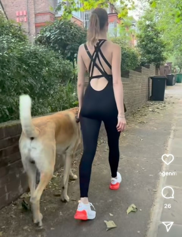 Londra sokaklarında dikkatler Pashanın üzerinde... Kangal tutkunu İngiliz kadın: Bizi Sivasa götürün