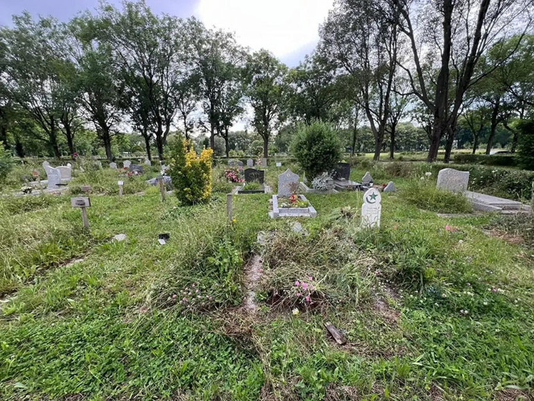 Abidin Dino ve Güzin Dino mezarda kavuşsun