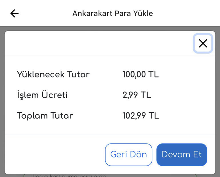Anlayana sivrisinek saz anlamayana davul zurna az