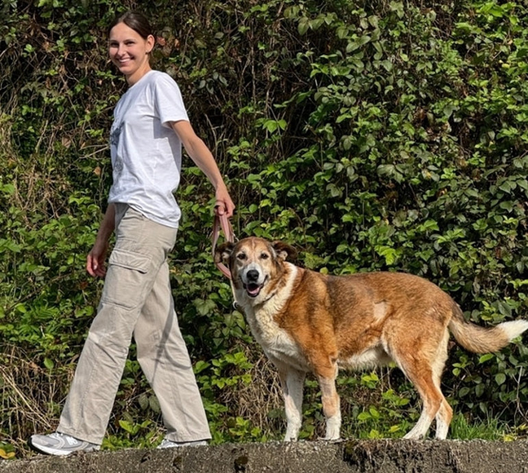 Jessica May: Köpeği yaşam mücadelesi veriyor