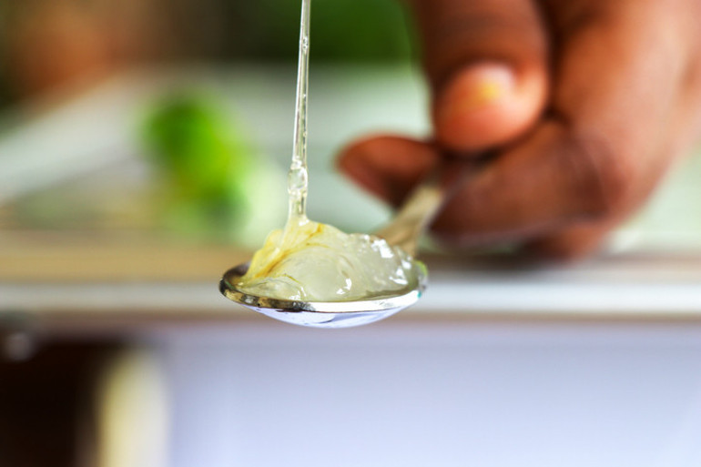 Topraktan çıkarıp elimize yüzümüze sürüyoruz Aloe vera gerçekten cilt için faydalı mı yoksa abartılıyor mu