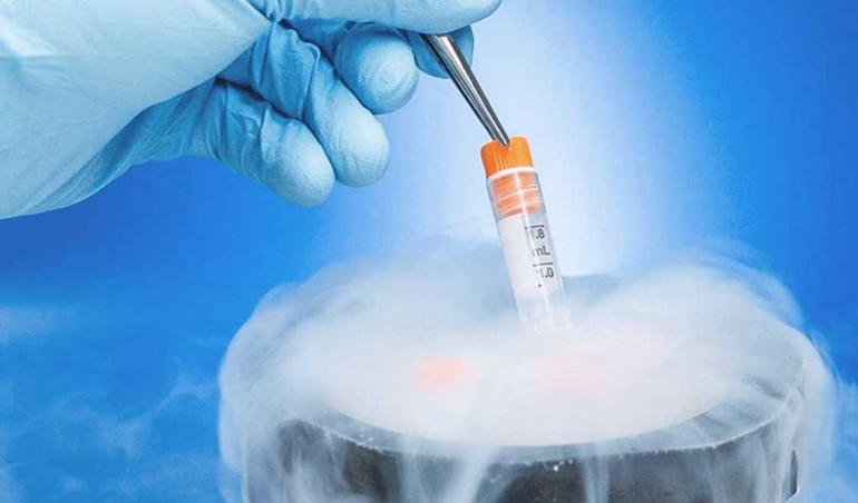 Dondurulmuş embriyo