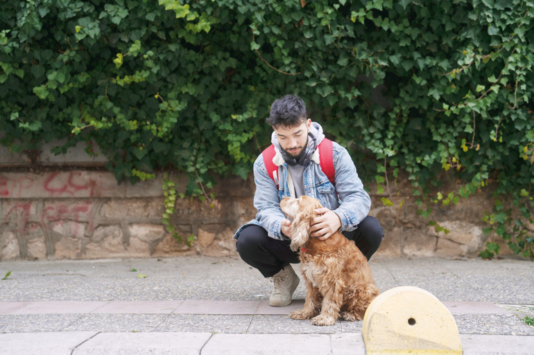 10 soruda sokak hayvanları sorunu... Dünyadaki uygulamalar nedir